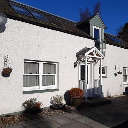 Pinewood Cotage - Country Walks And Relaxation Blairgowrie and Rattray Exterior foto